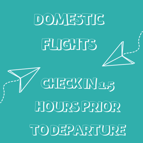 domestic flights