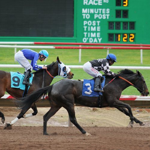 Teesside Airport Taxis - Redcar racecourse